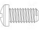 Screw, M5x12, Head cheese head, Cut Phillips, plastic