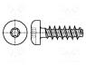B2X10/BN13265 - Screw, for plastic, 2x10, Head  cheese head, Torx® PLUS, steel
