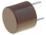 Fuse  fuse, quick blow, 1A, 250VAC, THT, TR5, copper, Pitch  5.08mm