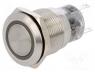 V19-11R-220G-S - Switch  vandal resistant, Pos  2, SPDT, 0.5A/220VAC, 1A/24VDC, IP67