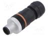Connector  M12, plug, PIN  12, male, 30V, straight, IP67, soldering