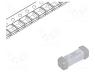 Ασφαλεια - Fuse  fuse, ceramic, 4A, 250VAC, 250V, 125VDC, time-lag, SMD, 443